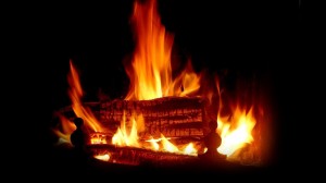 Lire la suite à propos de l’article A LA VEILLE DE LA PERIODE HIVERNALE