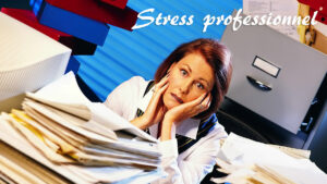 Lire la suite à propos de l’article Stress professionnel et échanges inter-professionnels : bilan positif pour les premières recontres de Divonne