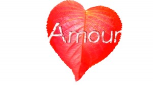 Lire la suite à propos de l’article L’Amour Inconditionnel