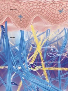 Lire la suite à propos de l’article BEAUTE : POUR AVOIR UNE BELLE PEAU