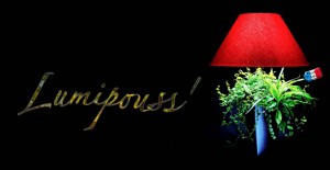 Lire la suite à propos de l’article LUMIPOUSS&rsquo; : un concept lampe/plantes