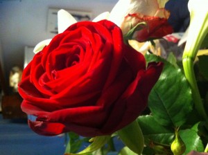 Lire la suite à propos de l’article L&rsquo;AMOUR DE SOI ET DES AUTRES