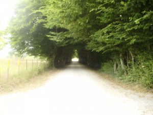Lire la suite à propos de l’article L&rsquo; OSTEOPATHIE