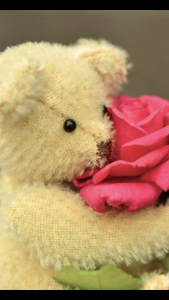 Lire la suite à propos de l’article UN PEU D&rsquo;AMOUR POUR LA RENTREE