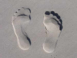 Lire la suite à propos de l’article BIEN ETRE/BEAUTE :
