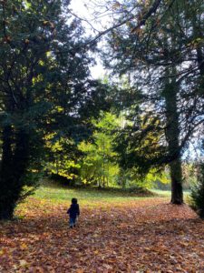 Lire la suite à propos de l’article L&rsquo; AUTOMNE EST ARRIVE !